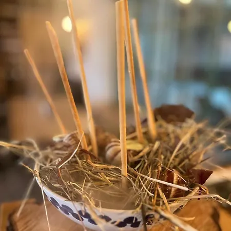 A Bistro Starý Kopec Penzion Znojmo